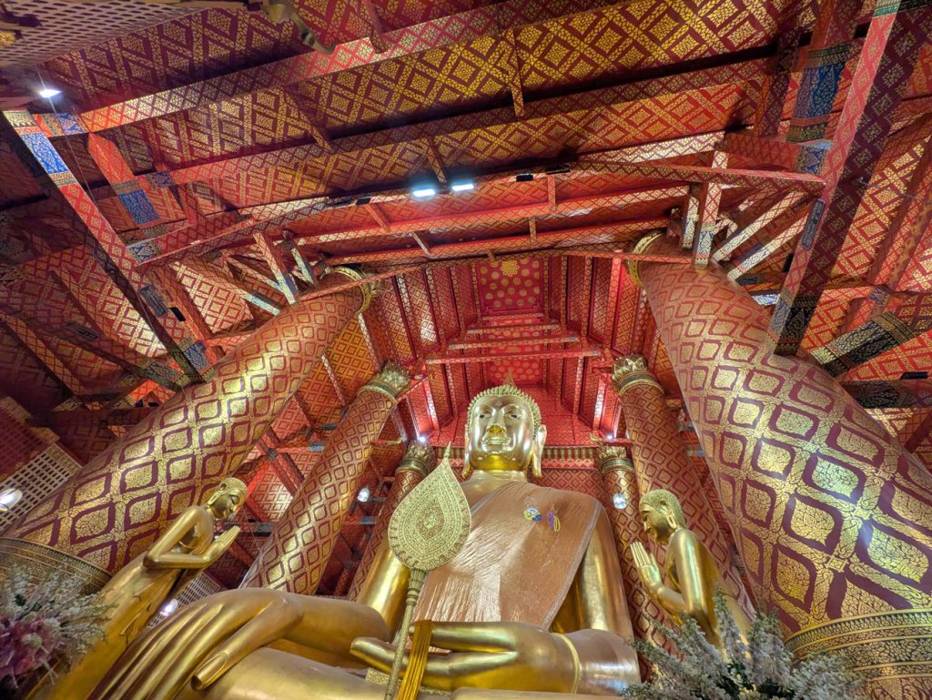 PXL_20250223_040540203